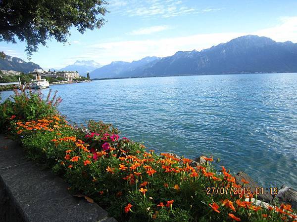 IMG_6474.JPG IMG_6474.JPG