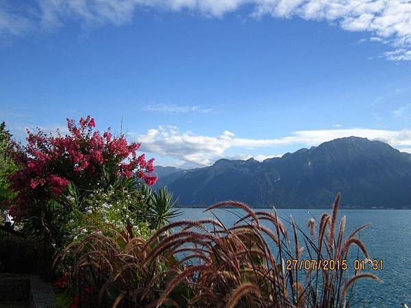 IMG_6484.JPG IMG_6484.JPG