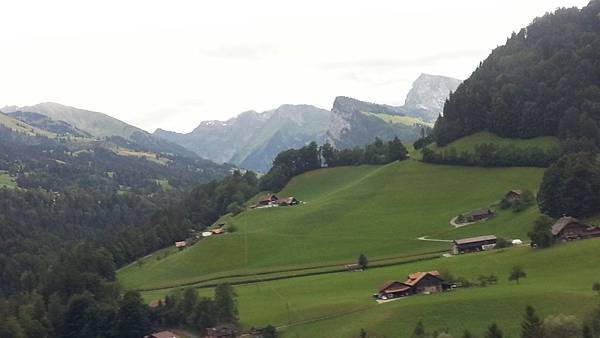 20150729_234646.JPG 20150729_234646.JPG