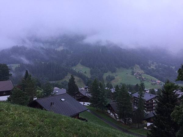 1438286909563.JPG 1438286909563.JPG