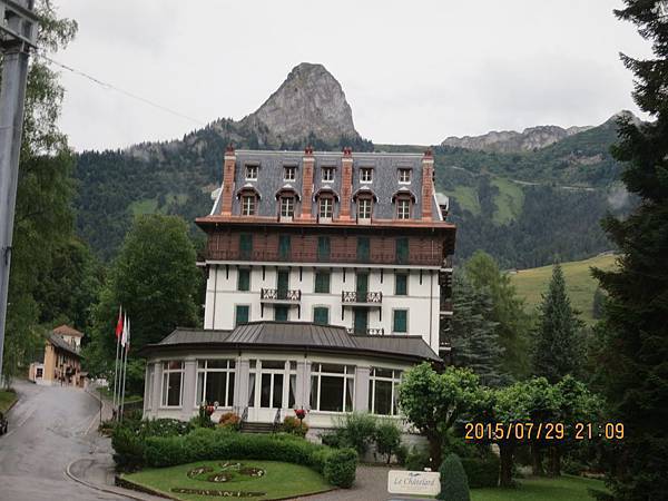 IMG_8958.JPG IMG_8958.JPG