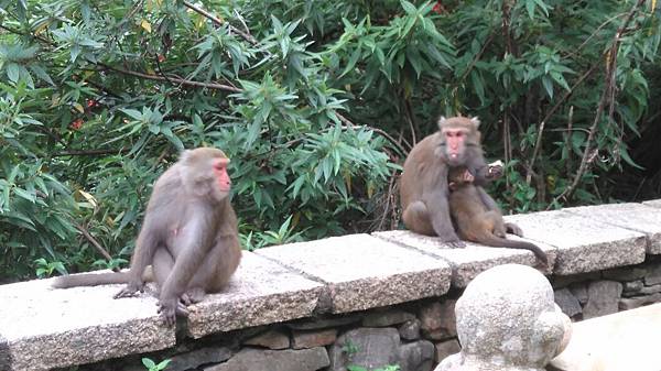 1445622516051.jpg 1445622516051.jpg