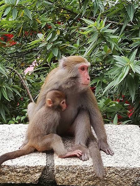 1445669403448.jpg 1445669403448.jpg