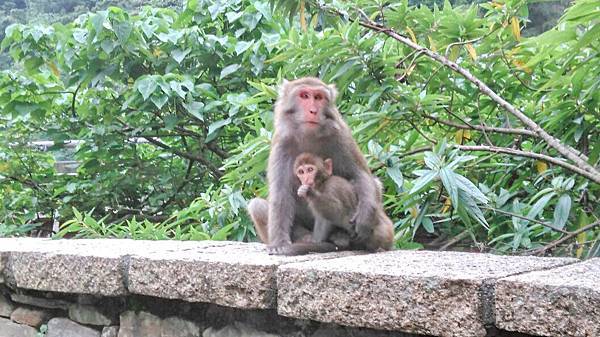 1446003752112.jpg 1446003752112.jpg