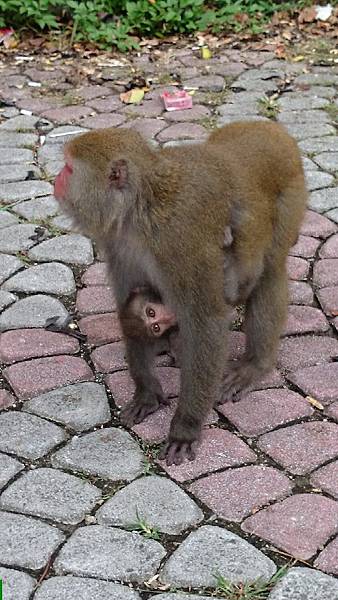 1446005368298.jpg 1446005368298.jpg