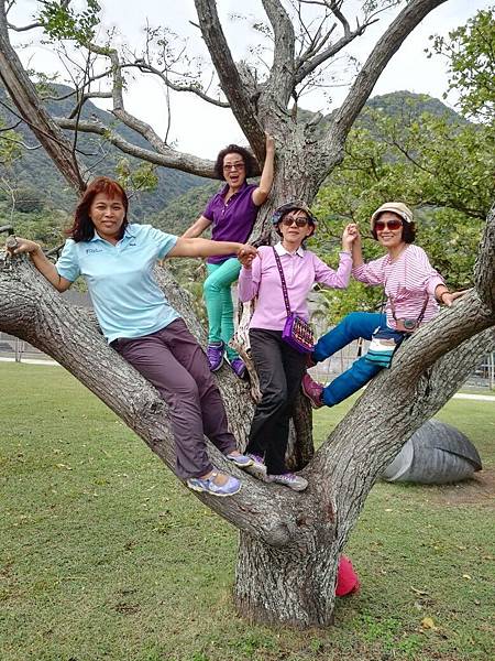 1445669563187.jpg 1445669563187.jpg