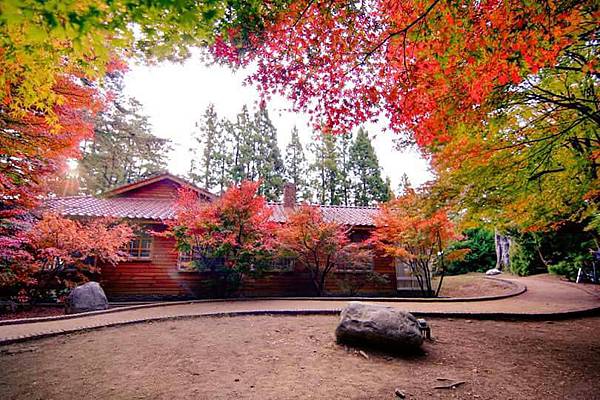 1447551384392.jpg 1447551384392.jpg