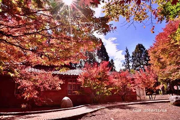 1447551375957.jpg 1447551375957.jpg