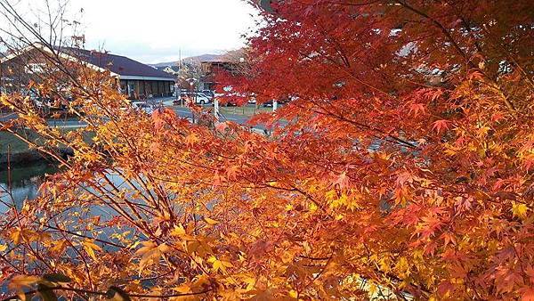 FB_IMG_1448002252682.JPG FB_IMG_1448002252682.JPG