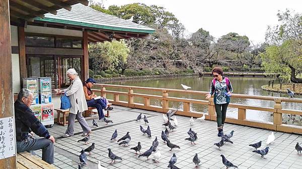 IMG_20151109_103616.JPG IMG_20151109_103616.JPG