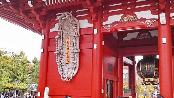 IMG_20151109_160710.JPG IMG_20151109_160710.JPG