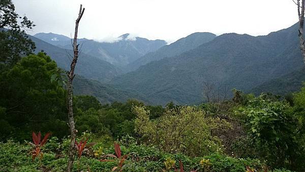 1452812277303.JPG 1452812277303.JPG