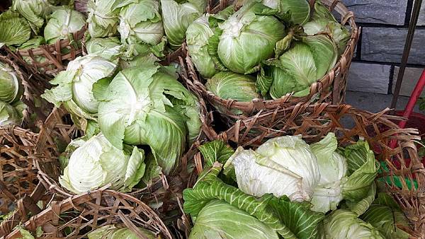 1455960745773.jpg 1455960745773.jpg