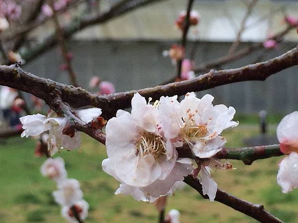 1455961147674.jpg 1455961147674.jpg