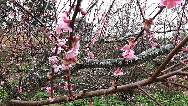 1455961395140.jpg 1455961395140.jpg