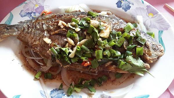 1455961416346.jpg 1455961416346.jpg