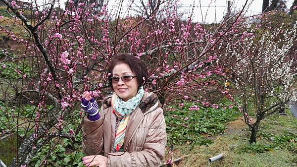 1455961634621.jpg 1455961634621.jpg