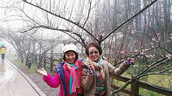 1455961671740.jpg 1455961671740.jpg