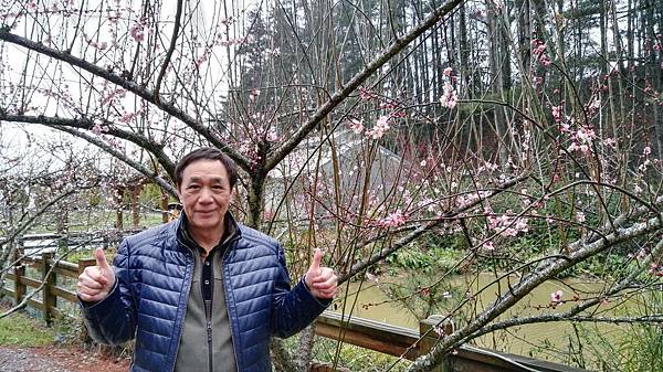 1455961668807.jpg 1455961668807.jpg