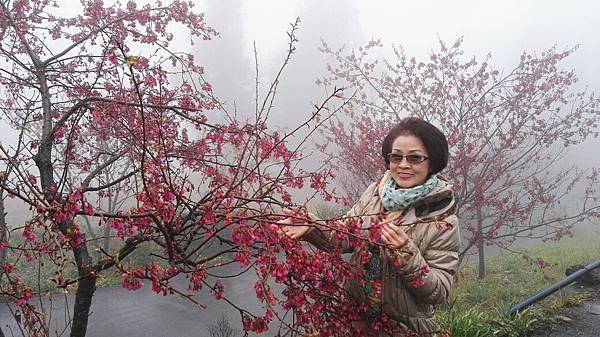 1455961688945.jpg 1455961688945.jpg