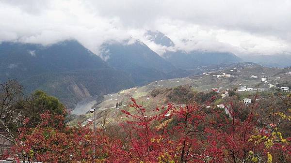 1455961720589.jpg 1455961720589.jpg