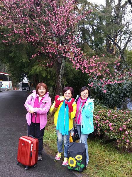 1455957553203.jpg 1455957553203.jpg