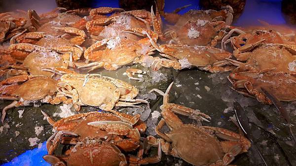 20160316_184810.JPG 20160316_184810.JPG