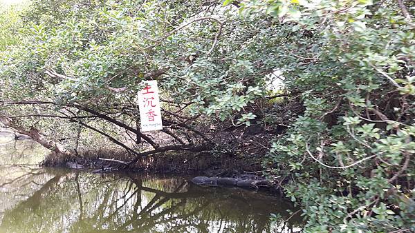 20160317_114701.jpg 20160317_114701.jpg