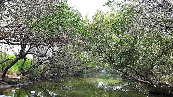 20160317_114749.jpg 20160317_114749.jpg