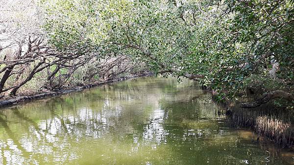 20160317_115013.jpg 20160317_115013.jpg