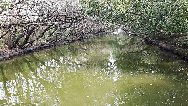 20160317_115213.jpg 20160317_115213.jpg