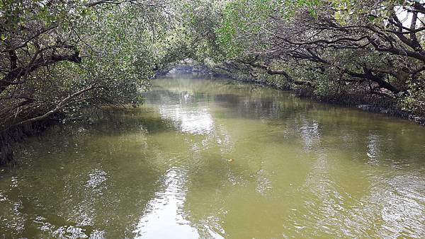 20160317_115242.jpg 20160317_115242.jpg