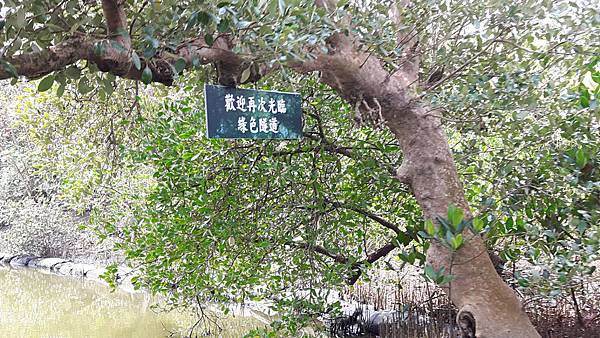 20160317_120028.jpg 20160317_120028.jpg