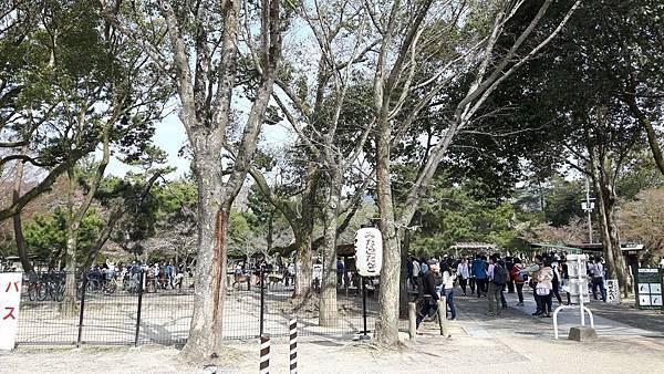 20160331_142254.JPG 20160331_142254.JPG