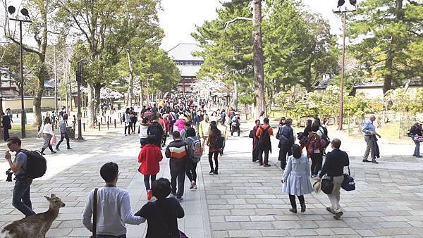 20160331_142922.JPG 20160331_142922.JPG