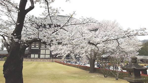 20160331_143838.JPG 20160331_143838.JPG