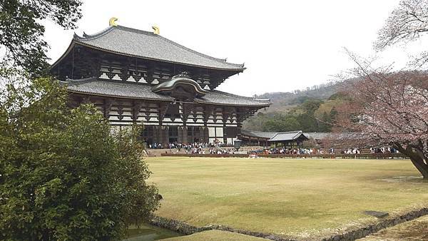 20160331_143701.JPG 20160331_143701.JPG