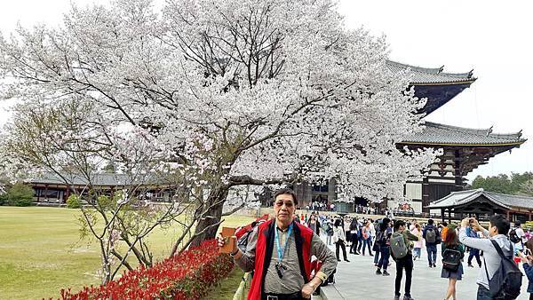 20160331_144030.JPG 20160331_144030.JPG