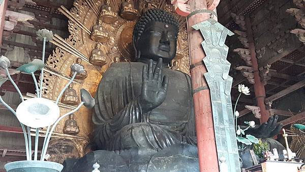 20160331_144854.JPG 20160331_144854.JPG