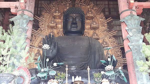 20160331_144817.JPG 20160331_144817.JPG