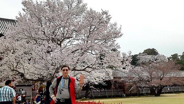 20160331_151538.JPG 20160331_151538.JPG