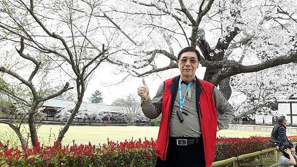 20160331_152120.JPG 20160331_152120.JPG