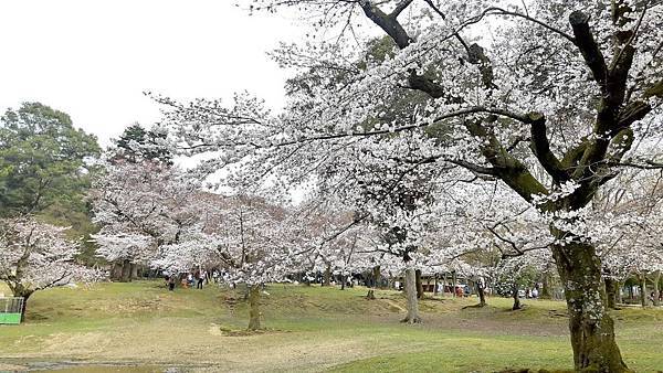 20160331_153414.JPG 20160331_153414.JPG