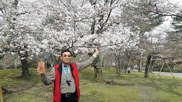 20160331_153947.JPG 20160331_153947.JPG