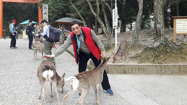 20160331_152934.JPG 20160331_152934.JPG