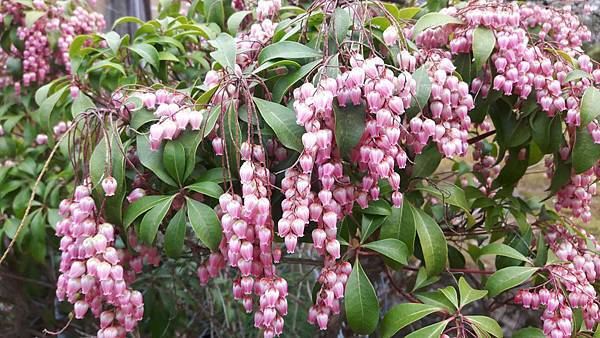 20160331_154109.JPG 20160331_154109.JPG