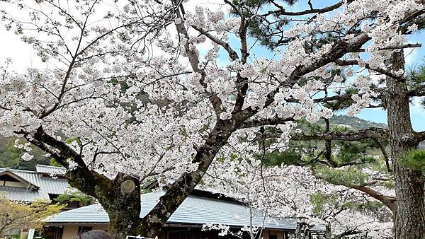 20160402_114602.JPG 20160402_114602.JPG