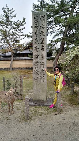 1459425914686.JPG 1459425914686.JPG