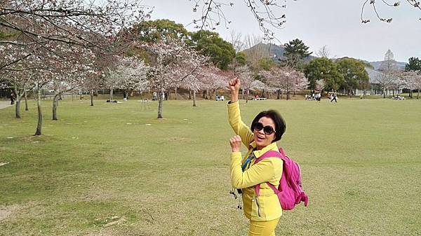 1459425930763.JPG 1459425930763.JPG