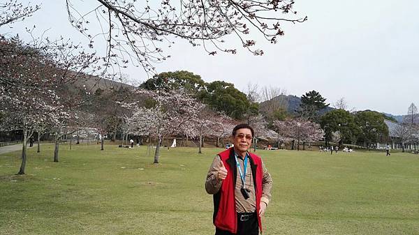 1459425925609.JPG 1459425925609.JPG